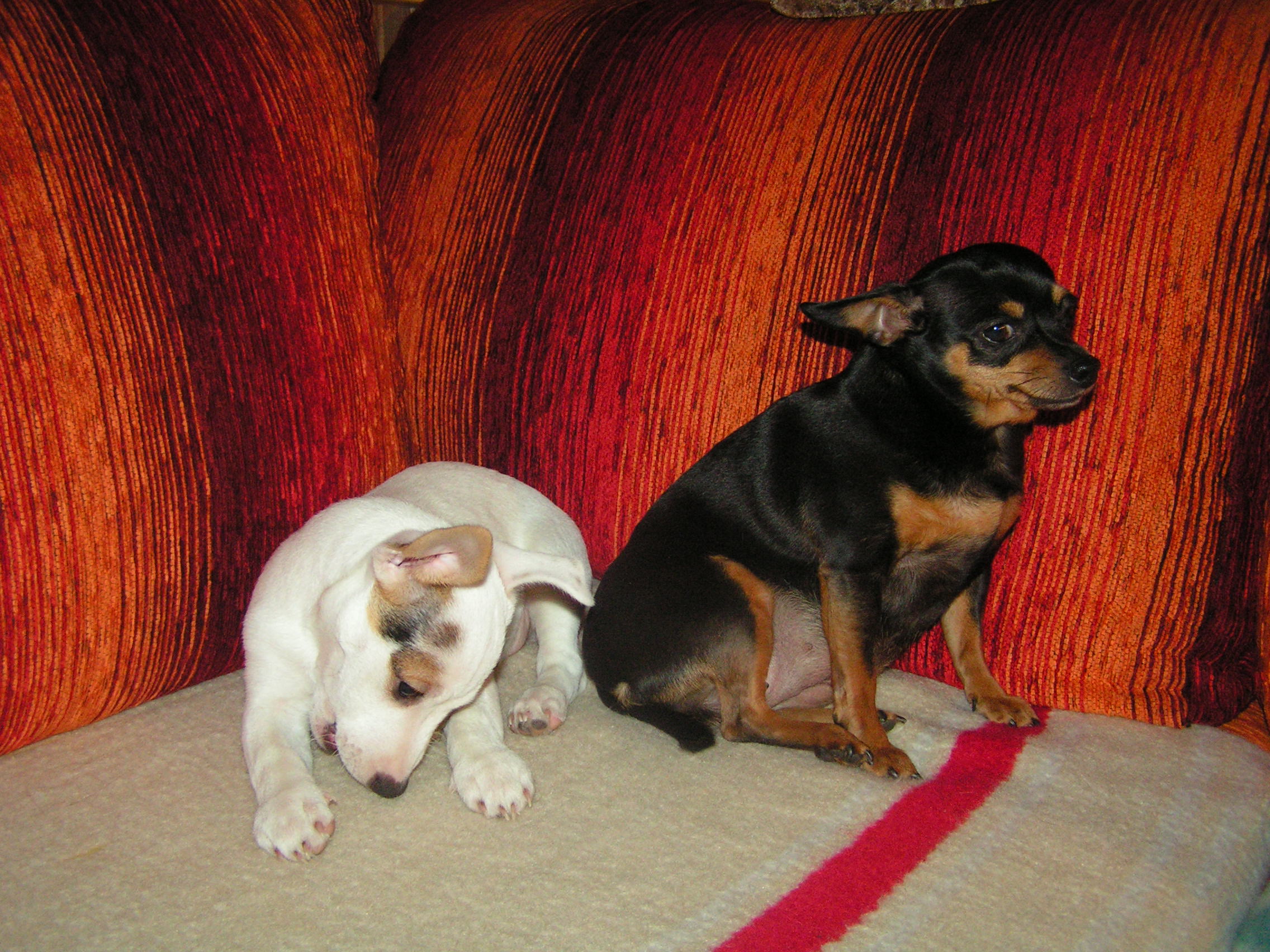 PICT0327.JPG