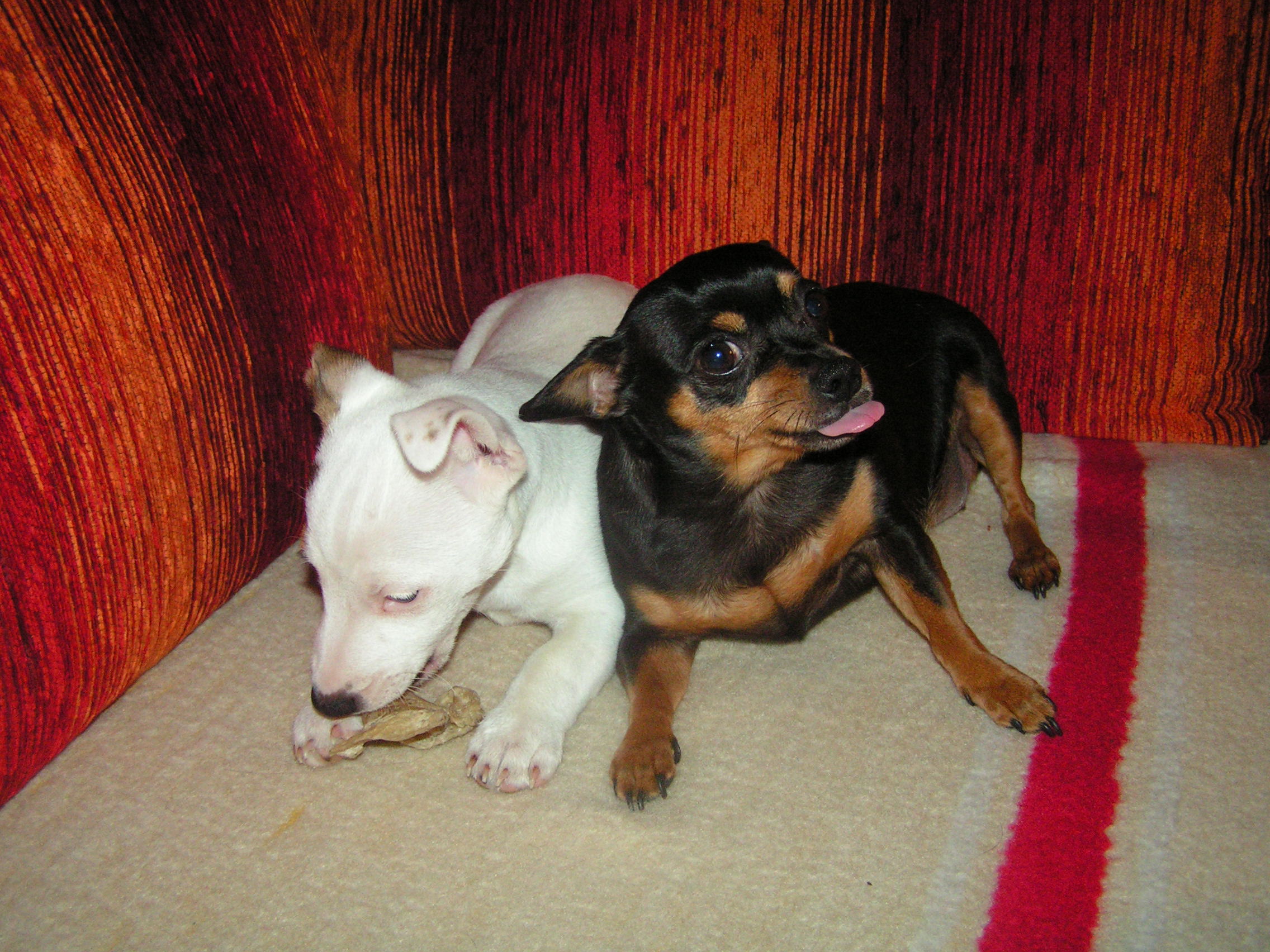 PICT0328.JPG