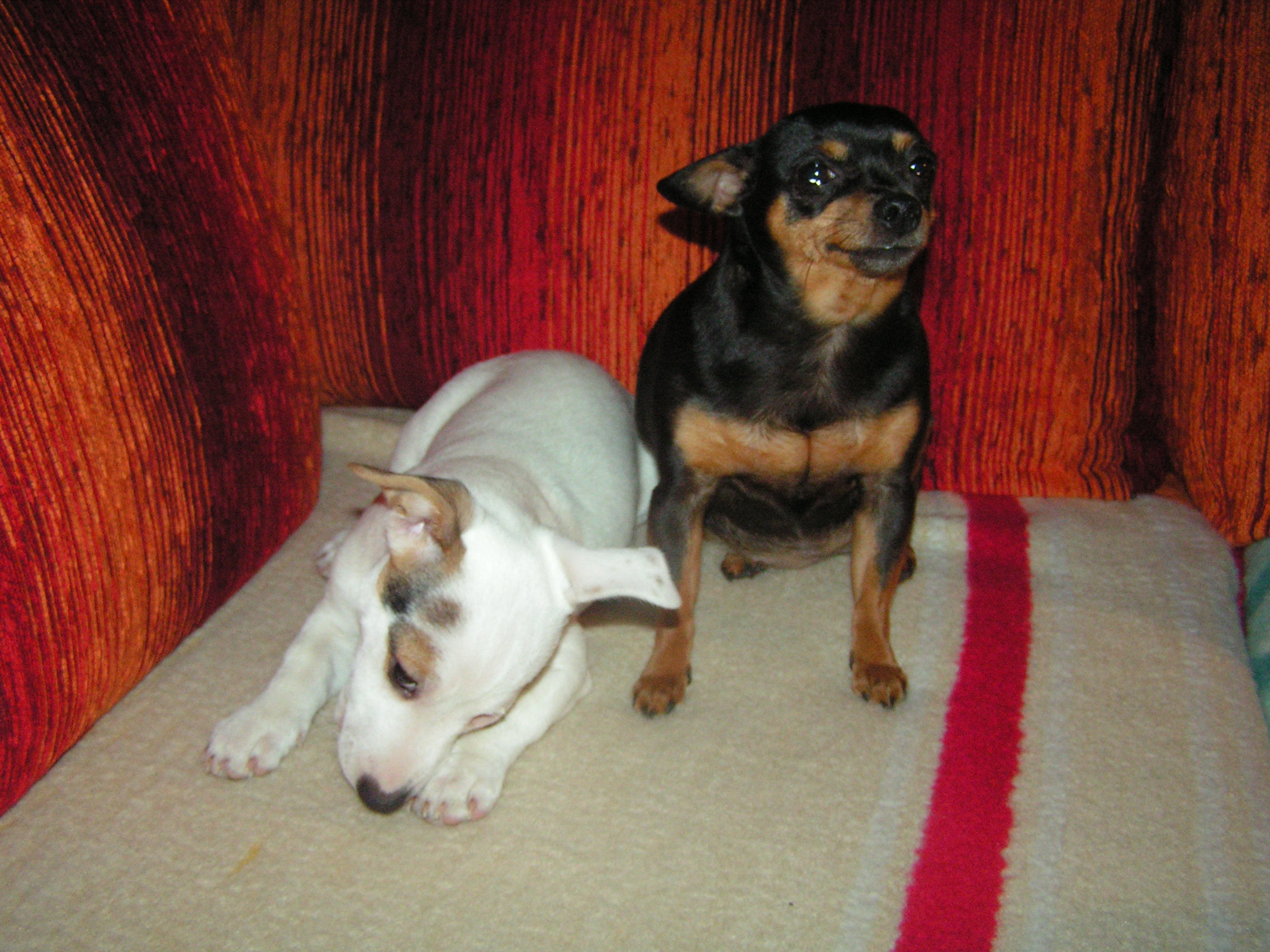 PICT0329.JPG